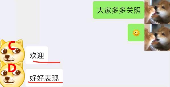 被女神拉进了舔狗群,我这个月余额就剩二毛二